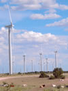 Wind Farm near House, New Mexico